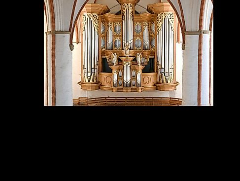 Arp-Schnitger-Orgel