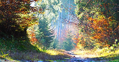 Harburger Berge