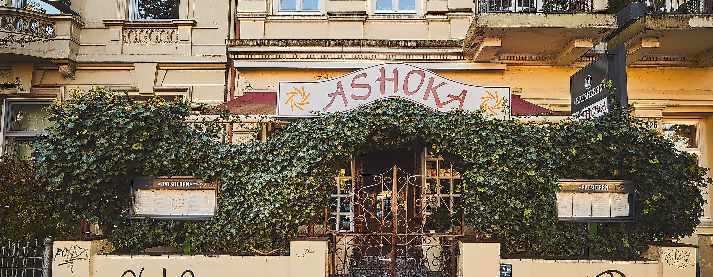 ashoka_c-2018-thisisjulia-photography-3