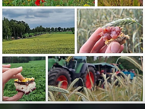 Kulinarische Feldrundfahrt