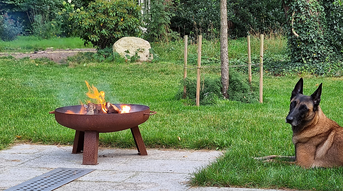 Feuerschale im Cottage Garden