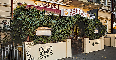 ashoka_c-2018-thisisjulia-photography-2