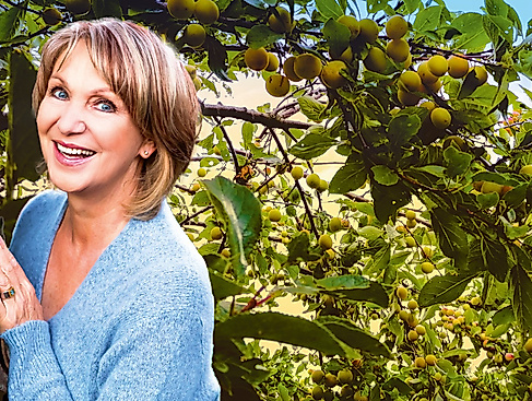 Sabine Kaack Mirabellengeist Foto Boris Wittgefe