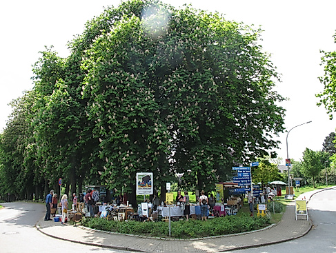 Flohmarkt Sierksdorf