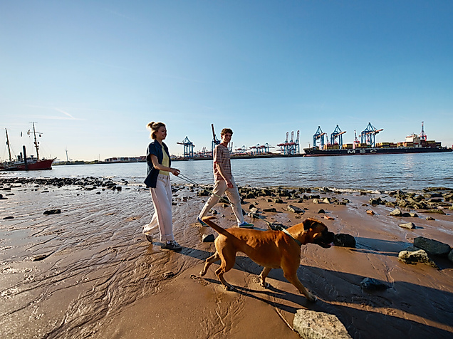 Ein junges Paar geht mit Hund an der Elbe spazieren.