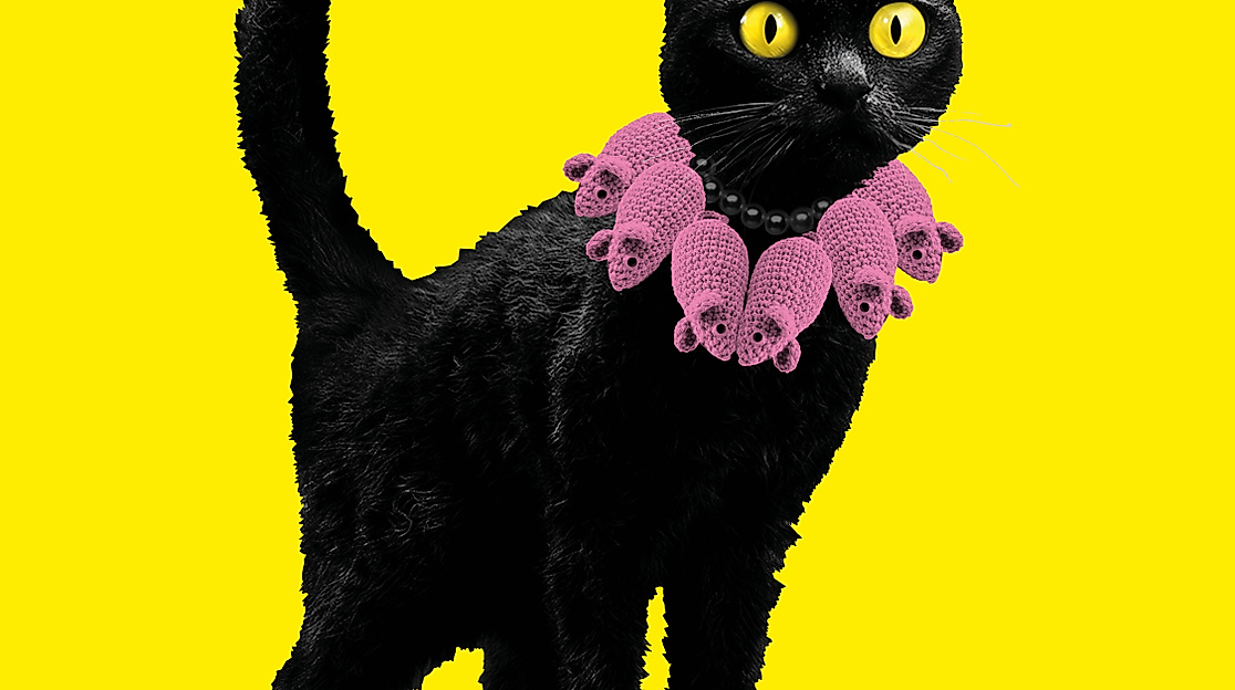 Plakatmotiv KATZEN!