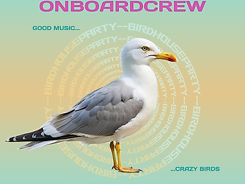 onboardcrew_birdhouseparty_hafenklang