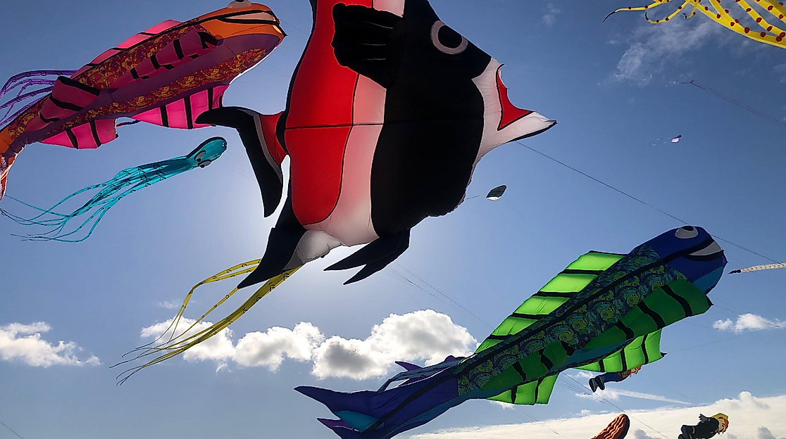 Drachenfest Fehmarn