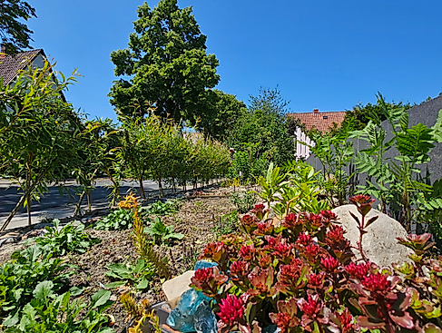 Gartenöffnung Swetlanas Gärten