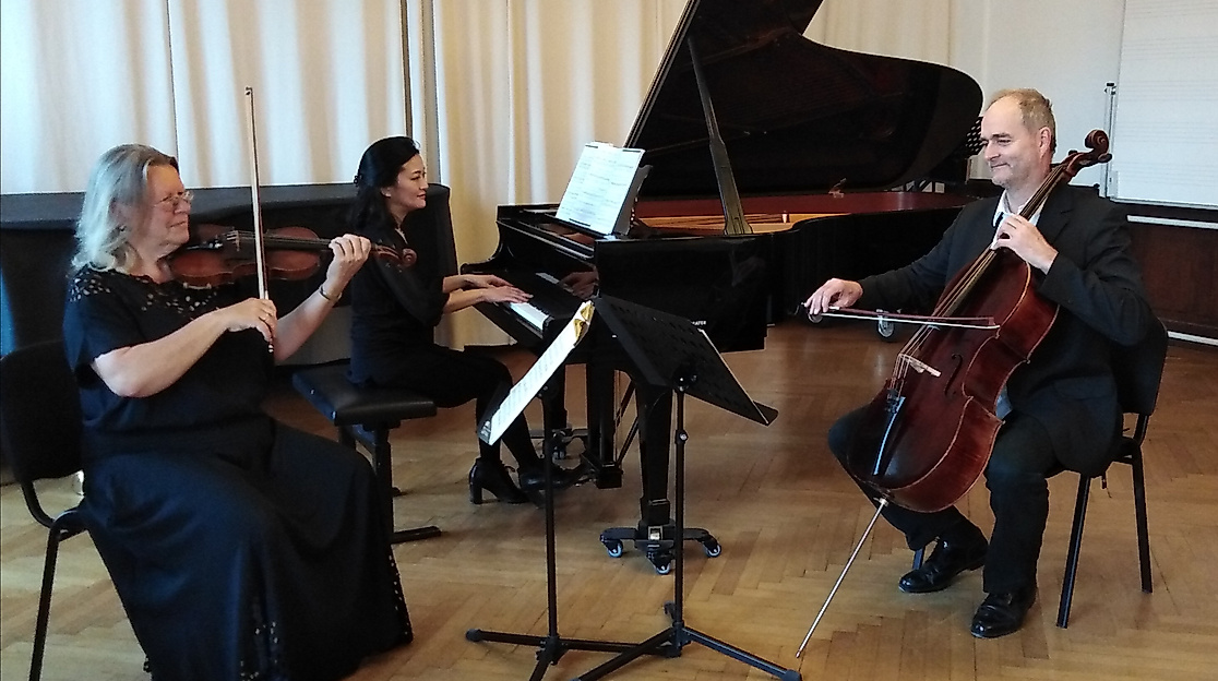 Hartmann-Trio im Fürstensaal