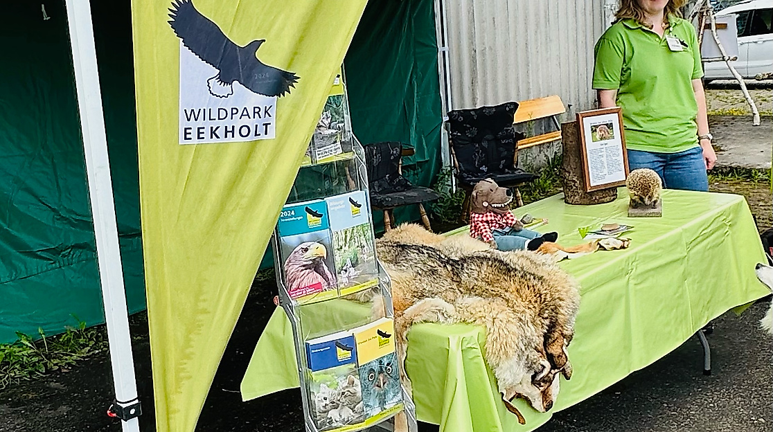 Stand Wildpark Eekholt