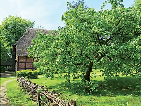 Essbare Landschaften
