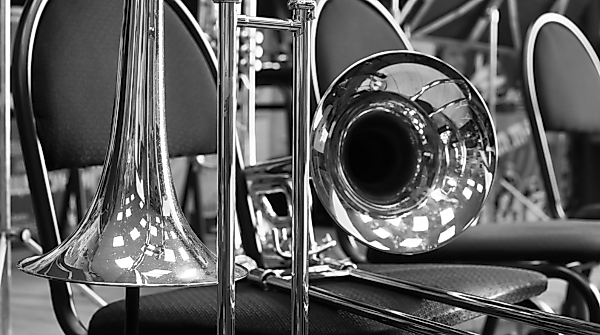 Ensemble Night