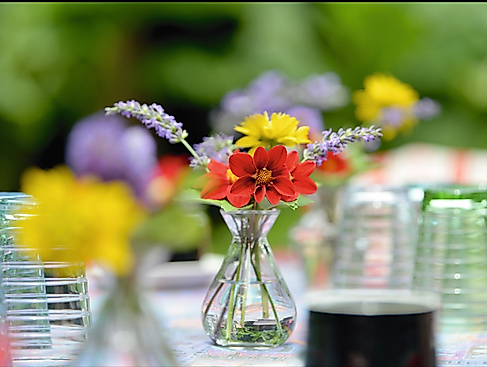 Jour fixe extra: All you need ... Yeah, yeah, yeah. Die Songs der Beatles