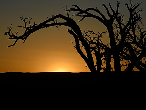Kai Horstmann: Von Gartow nach Namibia