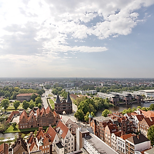 Blick über das Wasser auf Lübecks Altstadt mit St.-Marien-Kirche, Pflanzen im Vordergrund und Sommerhimmel
