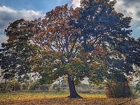 Konfirmations-Gottesdienst von St. Marien mit Pastor Robert Pfeifer
