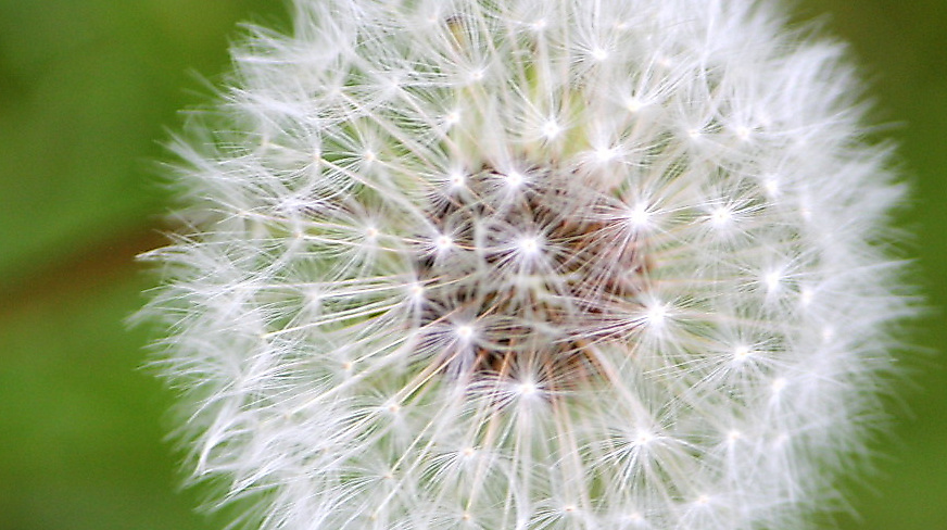 Wir laden ein zum Ostergottesdienst nach Boostedt