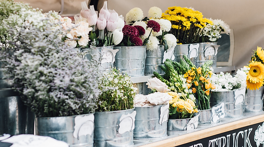 rindermarkthalle_blumen_c-katy-anne-unsplash