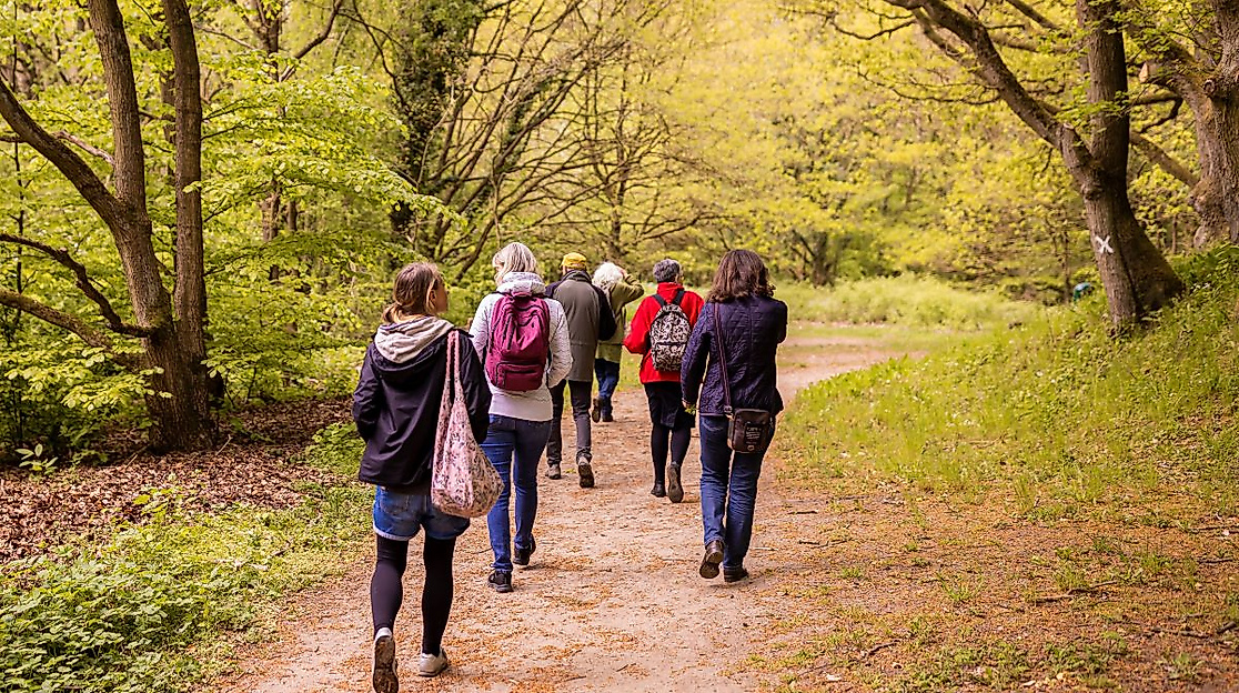 Wald erleben