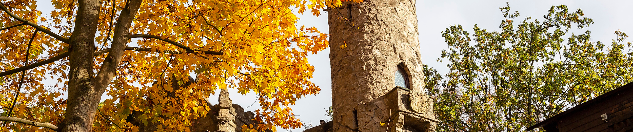 Burg Henneberg in Hamburg-Marienthal, herbstlich umgeben von gelb gefärbten Bäumen und historischem Rundturm.
