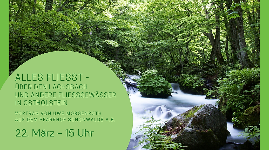 Alles fließt - Über den Lachsbach und andere Fließgewässer in Ostholstein