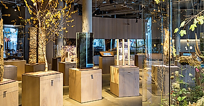 Science Center im Wälderhaus