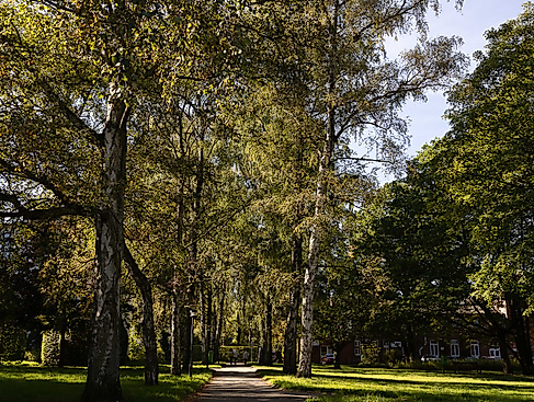 2529_07_location_02_2147