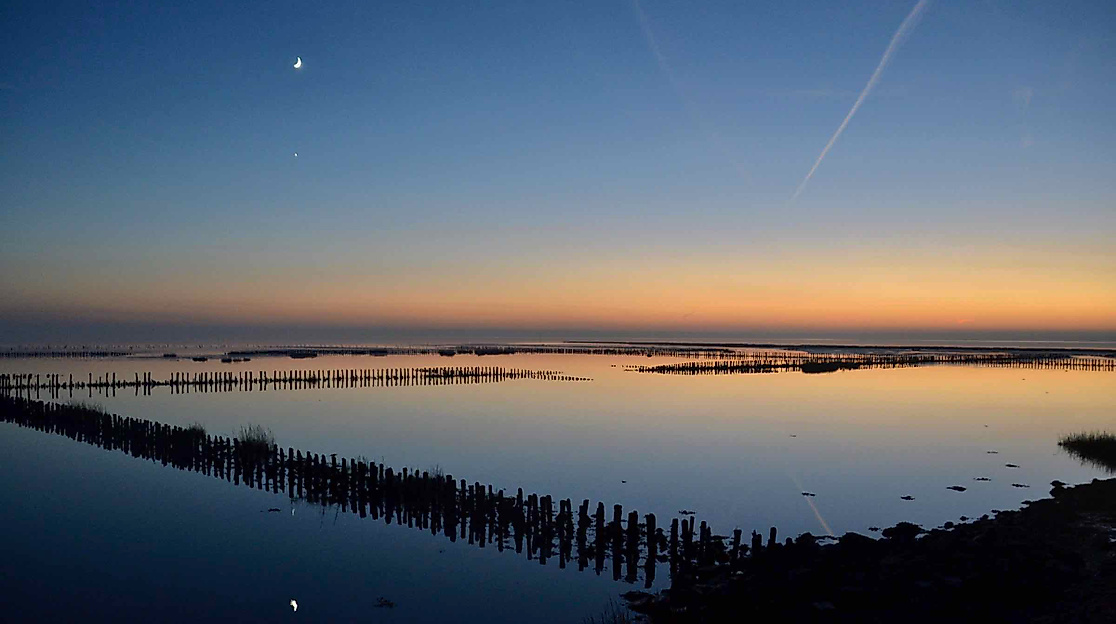 Im Dunkeln am Deich - Abendwanderung mit allen Sinnen