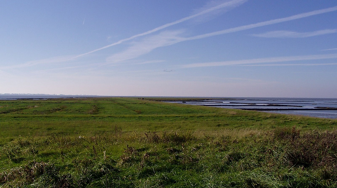 Salzwiesenwanderung "Helmsand"