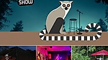 Schwarzer Humor Comedy Show Hafenbahnhof