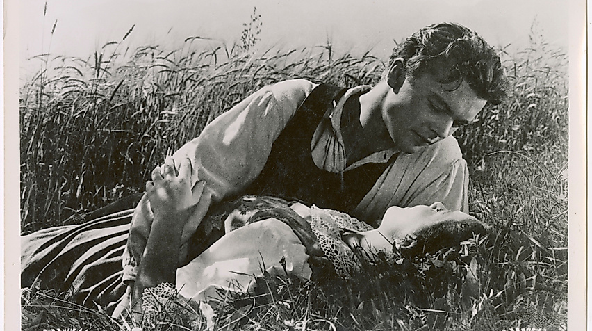 Jugendliebe / Über's Jahr, wenn die Kornblumen blühn