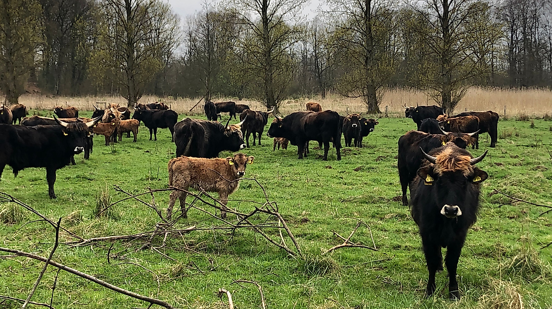 Tag der offenen Flur ERNA e.V.