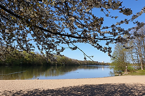 Öjendorfer Park