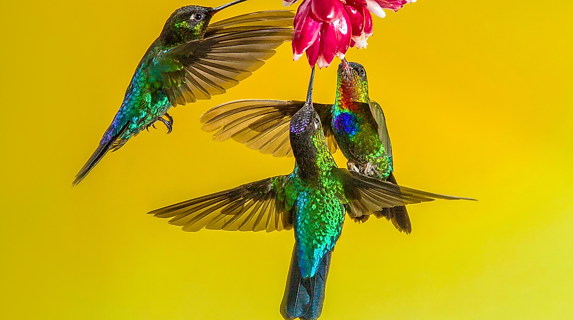 Es ist nicht leicht inoperabilities