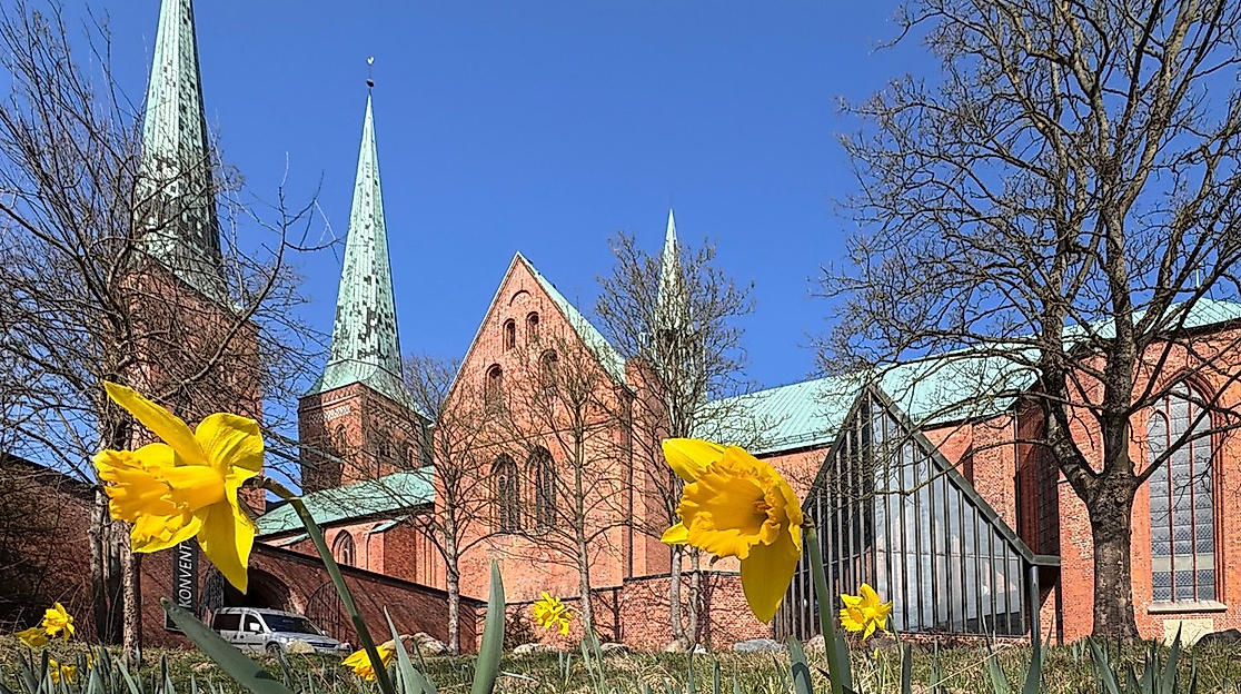 "Offener Kreis am Dom"