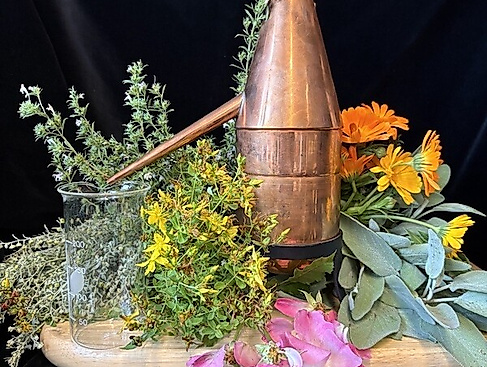 Destillations-Workshop: Aqua mirabilis