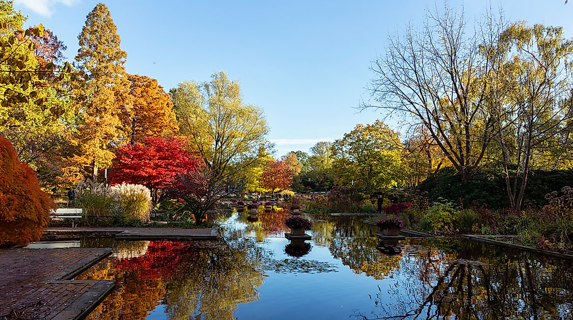Herbstliche Bäume spiegeln sich im Teich im Park Planten un Blomen unter blauem Himmel