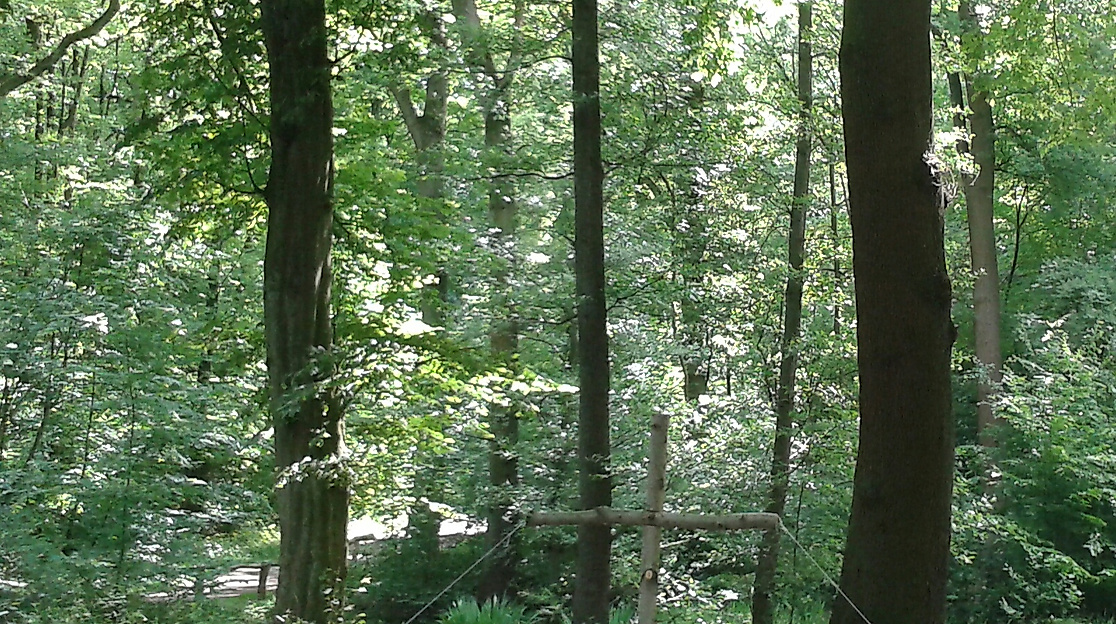 Altar im Wehlbrook