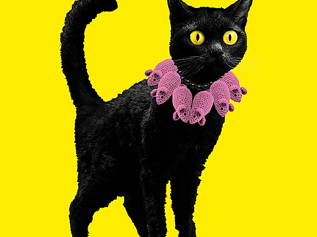 Plakatmotiv KATZEN!