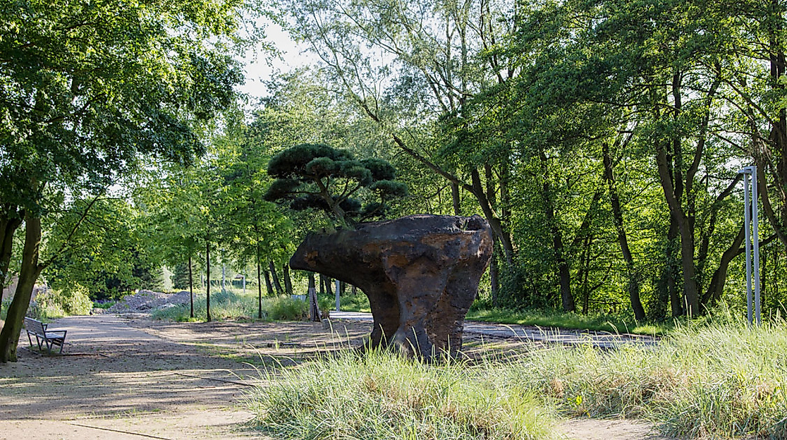 Skulptur eines fliegenden Bonsais im Wilhelmsburger Inselpark, umgeben von Bäumen und Spazierwegen.