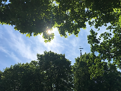 Sommergottesdienst