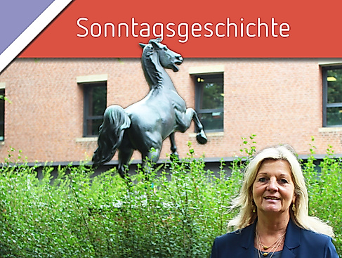 Sonntagsgeschichte: Museum und "umzu" – Was gibt es rund um das Museum zu entdecken?