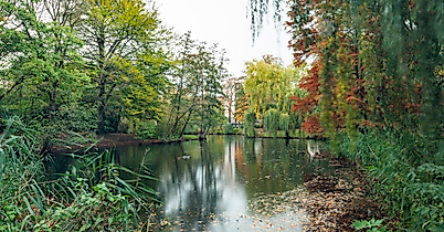 Ruhiger Teich im Eimsbütteler Park, umgeben von dichtem, herbstlich gefärbtem Baumbestand
