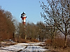 Wittenbergener Heide
