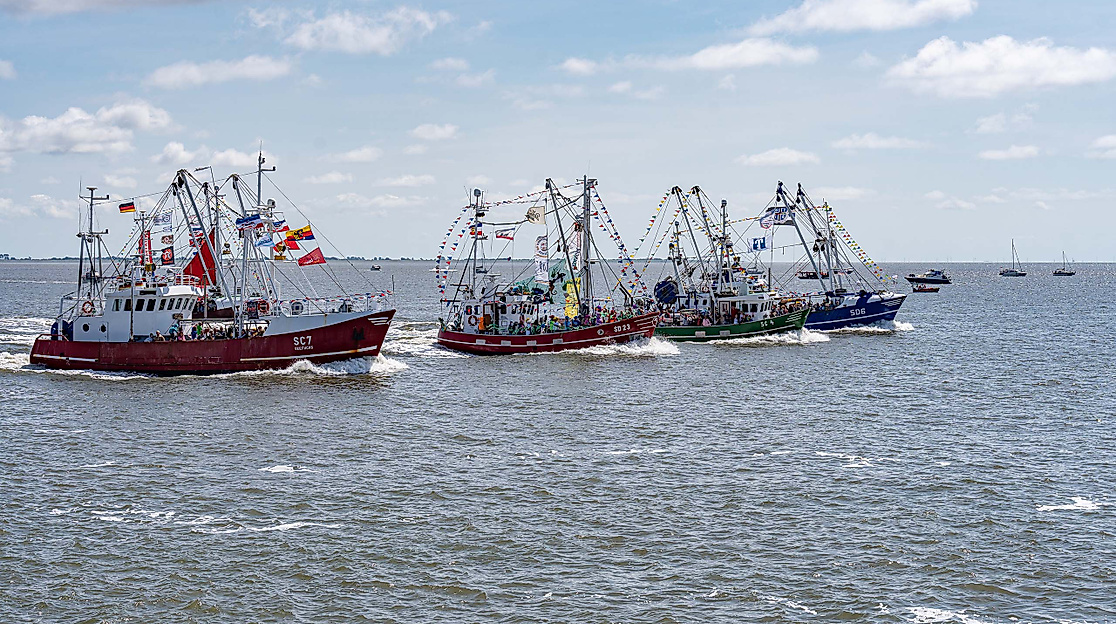 119. Büsumer Kutterregatta