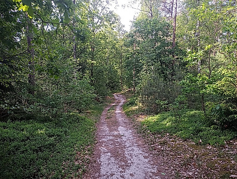 Auenlandschaft und historische Stätten an der Wipperau bei Oldenstadt