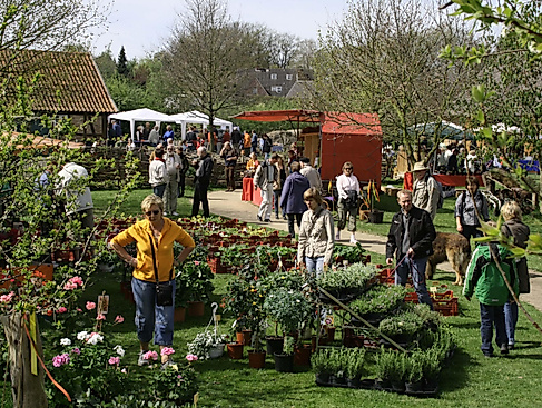 Pflanzen- und Handwerkermarkt