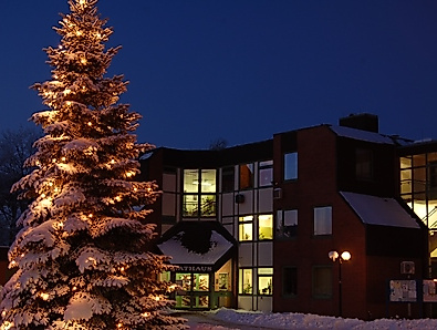 Weihnachtsbaum Rathausplatz