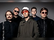 Oases - The Oasis Experience